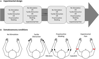 Sensory Disturbances, but Not Motor Disturbances, Induced by Sensorimotor Conflicts Are Increased in the Presence of Acute Pain